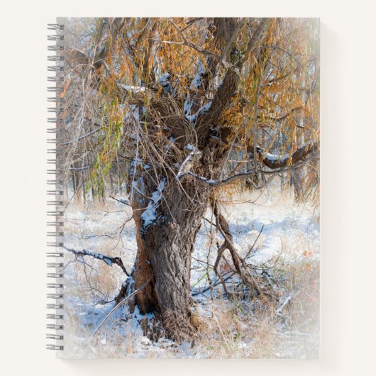 ウィロー歩く ノートブック (正面)