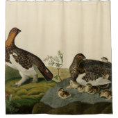 ウィロー・グルース – アウドゥボンのアメリカ鳥 シャワーカーテン (正面)