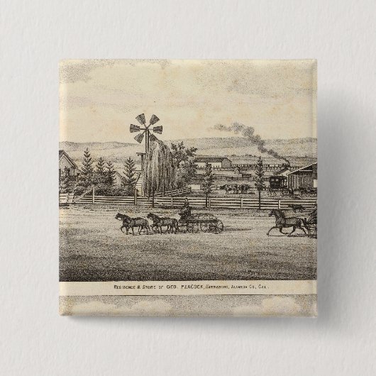 ウィロー·グレン·ピーコック 缶バッジ (正面)