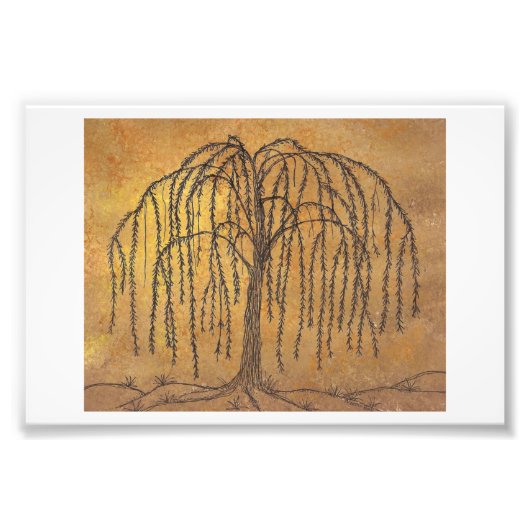 ウィロー フォトプリント            (正面)