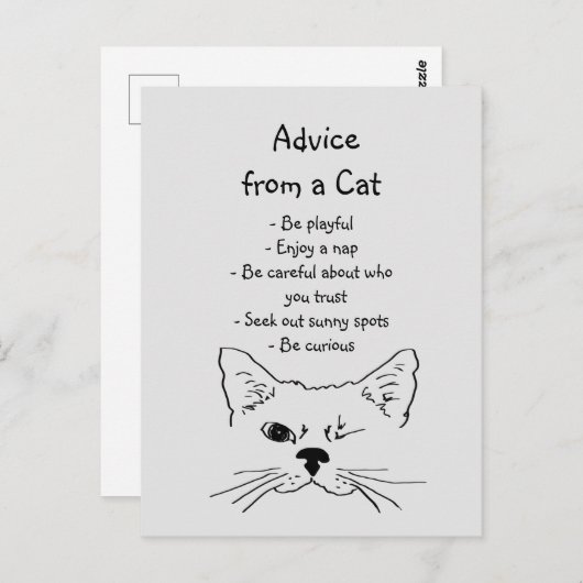 ウィンクする猫からのアドバイス　楽しい動物のユーモア ポストカード (正面/裏面)