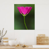 ウィンクアップワイルドフラワー ポスター (キッチン)