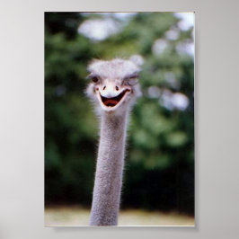 ウィンクウインク ポスター