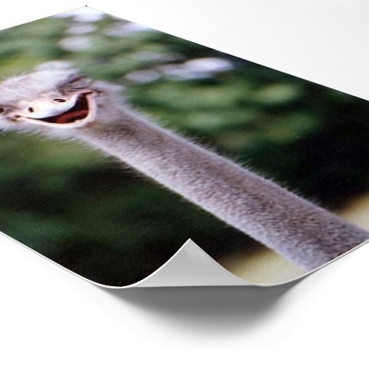 ウィンクウインク ポスター (角)