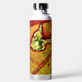 ウィングの穴 ウォーターボトル (左面)