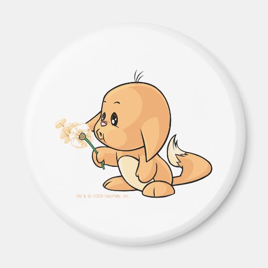 ウィングオレンジカチェク マグネット (正面)