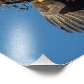 ウィングシャドハゲのワシ フォトプリント            (角)