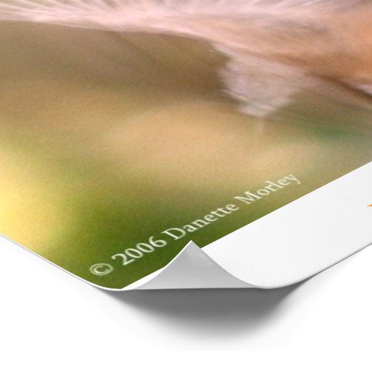 ウィング ポスター (角)