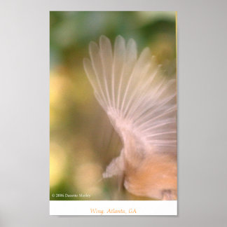 ウィング ポスター