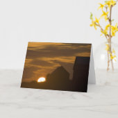 ウィンザーサンライズカード カード (黄色い花)