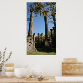 ウィンザー遺跡 ポスター (キッチン)