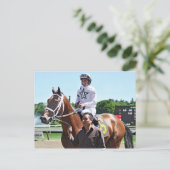 ウィンスター・ファームのキング・サイラス ポストカード (スタンド正面)