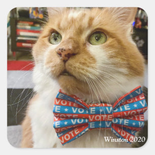 ウィンストン2020 スクエアシール