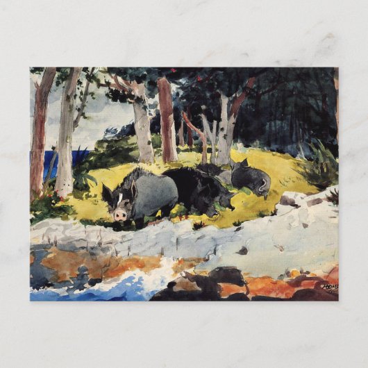 ウィンズローホーマー – バミューダ入植者 ポストカード (正面)