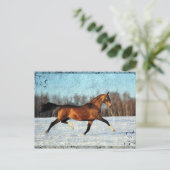 ウィンターアクハルテケ ポストカード (スタンド正面)