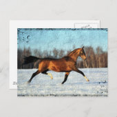 ウィンターアクハルテケ ポストカード (正面/裏面)