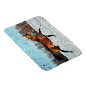 ウィンターアクハルテケ マグネット (右側)