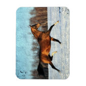 ウィンターアクハルテケ マグネット (縦)