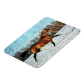 ウィンターアクハルテケ マグネット (左側)