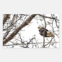 ウィンターイーグルステッカー