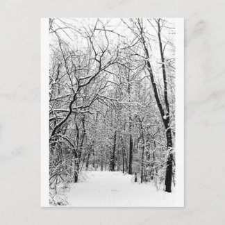 ウィンターウッズ ポストカード