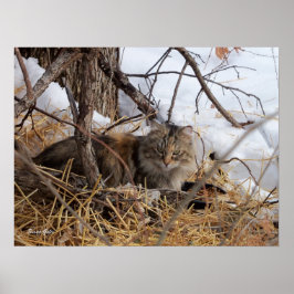 ウィンターウッドランドフェラルキャットプリント ポスター