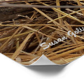 ウィンターウッドランドフェラルキャットプリント ポスター (角)