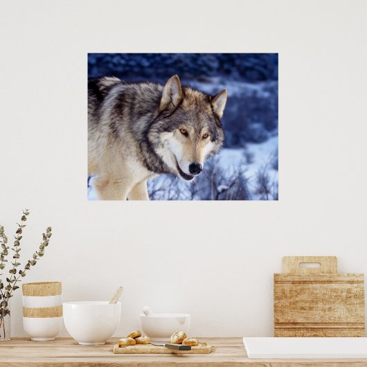 ウィンターウルフ2 ポスター (キッチン)