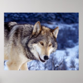 ウィンターウルフ2 ポスター (正面)