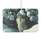 ウィンターウルフ カーエアーフレッシュナー (裏面)