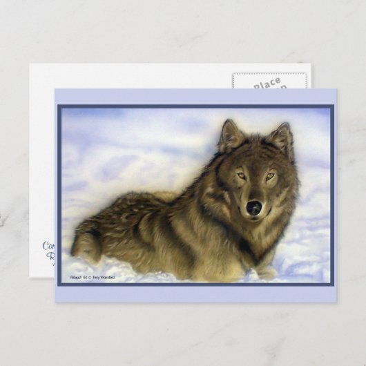 ウィンターウルフ ポストカード (正面/裏面)