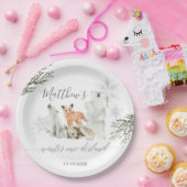 ウィンターオネダーランドウッドランドアニマル誕生日 ペーパープレート (パーティー)