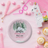 ウィンターオネダーランドファースト誕生日スノーウィペンギン ペーパープレート (パーティー)