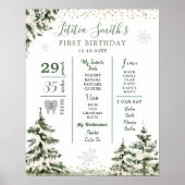 ウィンターオンダーランドフォレストファースト誕生日マイルストーン ポスター (正面)