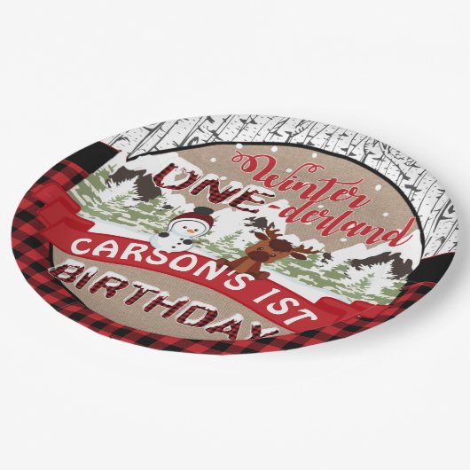 ウィンターオンダーランド誕生日パーティー紙プレート ペーパープレート (アングル)