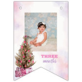 ウィンターガールオネダーランド誕生日月例写真 バンティングフラッグ (第3の旗)