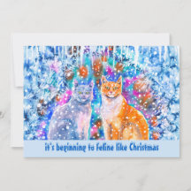 ウィンターキャッツおもしろいホリデープンクリスマスカード