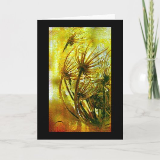 ウィンタークイーンアンズレース カード (正面)