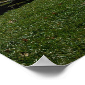 ウィンターグリーン ポスター (角)