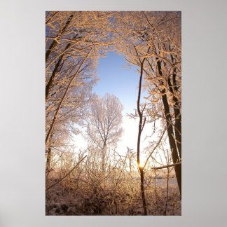 ウィンターゲイト ポスター