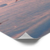 ウィンターサンセット子猫インコーンフィールド ポスター (角)