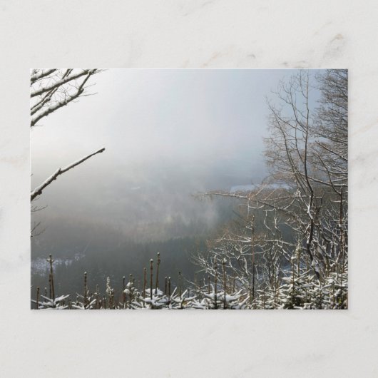 ウィンターザマクレスフィールドフォレストカード ポストカード (正面)