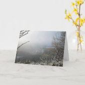 ウィンターザマクレスフィールドフォレスト カード (黄色い花)