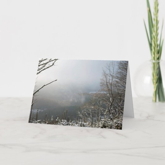 ウィンターザマクレスフィールドフォレスト カード (正面)