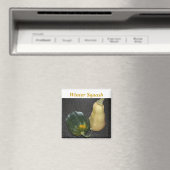 ウィンタースカッシュ – アコーンとバターナット マグネット (インサイチュ (食洗機))