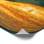 ウィンタースカッシュ ポスター (角)