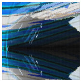 ウィンタースター….. ファブリック (クローズアップ)