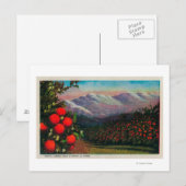 ウィンターステートのフットヒルオレンジグローブ ポストカード (正面/裏面)