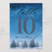 ウィンタースノーウェディングテーブルナンバー プログラム (正面)