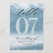ウィンタースノーウェディングテーブルナンバー プログラム (正面)